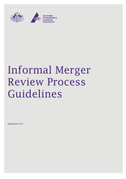 Informal Merger Review Process Guidelines