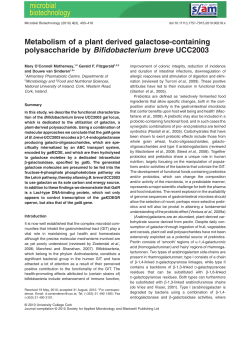 Metabolism of a plant derived galactose‐containing polysaccharide