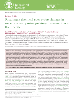 Rival male chemical cues evoke changes in male pre