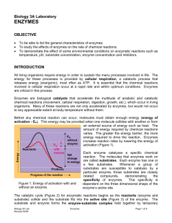 ENZYMES