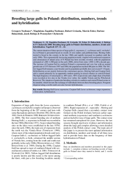 Breeding large gulls in Poland: distribution, numbers, trends and