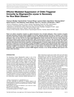Effector-Mediated Suppression of Chitin-Triggered
