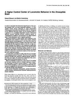 A Higher Control Center of Locomotor Behavior in the Drosophila