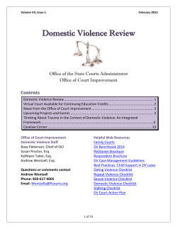 Domestic Violence Review