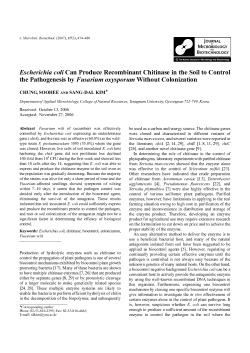 Escherichia coli Can Produce Recombinant Chitinase in the Soil to
