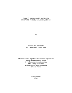 SWINE FLU, DRUG WARS, AND RIOTS