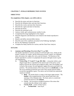 CHAPTER 17 &ndash;FEMALE REPRODUCTION SYSTEM OBJECTIVES