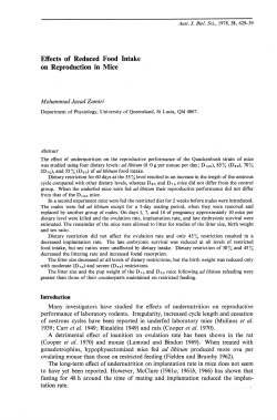 Effects of Reduced Food Intake on Reproduction in Mice