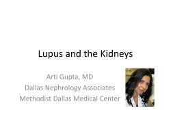 Lupus and the Kidneys