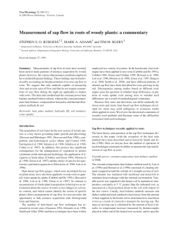 Measurement of sap flow in roots of woody plants: a commentary