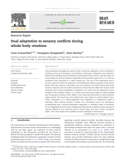 Dual adaptation to sensory conflicts during whole