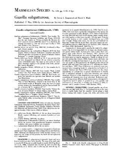 Gazella subgutturosa. BySteven C. Kingswood and David A. Blank