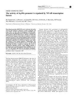 The activity of hsp90a promoter is regulated by NF-jB