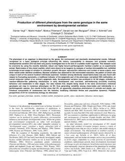 Production of different phenotypes from the same genotype in the