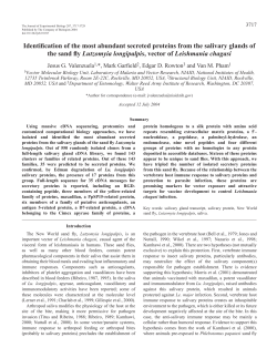 Identification of the most abundant secreted proteins from the