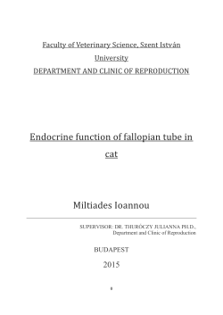 Endocrine function of fallopian tube in cat Miltiades Ioannou