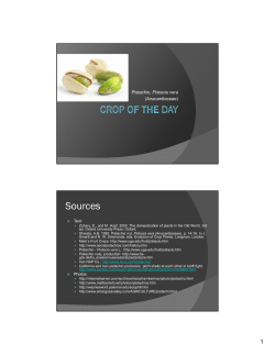 Pistachio, Pistachia vera