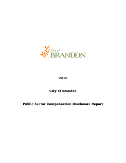 2013 City of Brandon Public Sector Compensation Disclosure Report