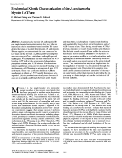 Biochemical Kinetic Characterization of the Acanthamoeba Myosin
