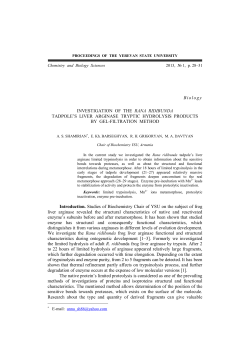 Investigation of the Rana Ridibunda tadpole`s liver arginase tryptic