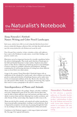 Summer - Reynolda Gardens