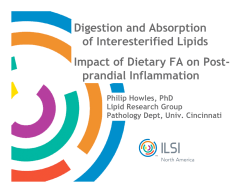 Digestion and Absorption of Interesterified Lipids Impact of Dietary