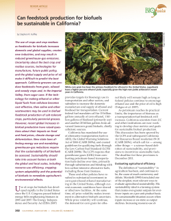 Can feedstock production for biofuels be sustainable in