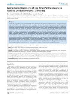 Going Solo: Discovery of the First Parthenogenetic Gordiid