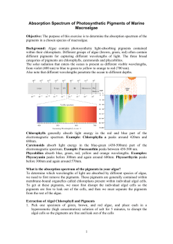 Absorption Spectrum of Photosynthetic Pigments of Marine