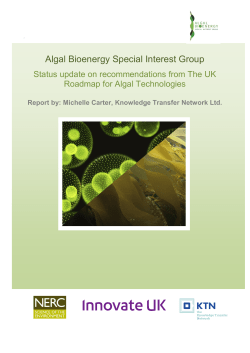 Status update on recommendations from The UK Roadmap for Algal