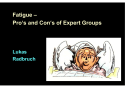 Fatigue &ndash; Pro`s and Con`s of Expert Groups