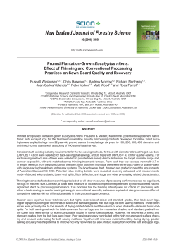 Pruned Plantation-Grown Eucalyptus nitens