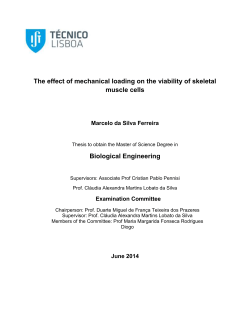 The effect of mechanical loading on the viability of skeletal muscle