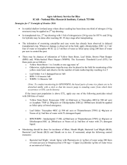 English - Central Rice Research Institute