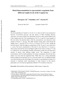 Metal bioaccumulation in representative organisms from different