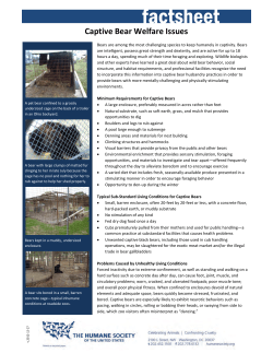 Captive Bear Welfare Factsheet