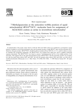 7-Methylguanosine at the anticodon wobble position of squid