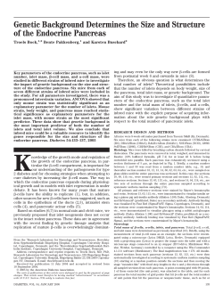 PDF - American Diabetes Association