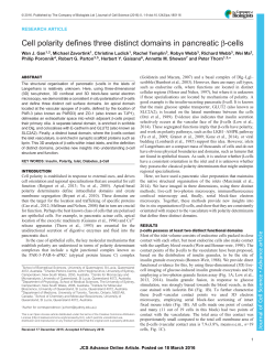 Cell polarity defines three distinct domains in pancreatic &beta;
