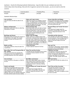 Symbiosis &ndash; Classify the following Symbiotic Relationships. Copy