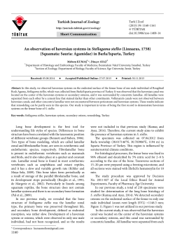 An observation of haversian systems in - Tubitak Journals