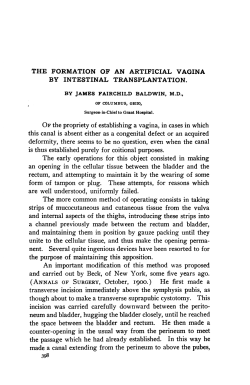 The formation of an artificial vagina by intestinal transplantation.