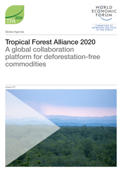 English PDF - Tropical Forest Alliance 2020
