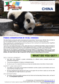 Panda Conservation in China