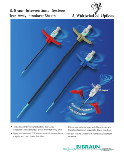 Tear-Away Introducer Sheath - B. Braun Interventional Systems