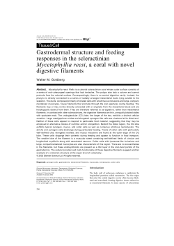 Gastrodermal structure and feeding responses in the