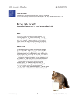 Better milk for cats -