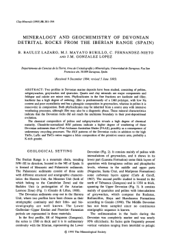 MINERALOGY AND GEOCHEMISTRY OF DEVONIAN DETRITAL