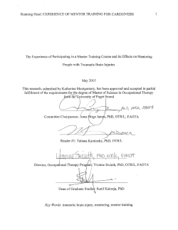 The Experience of Participating in a Mentor Training