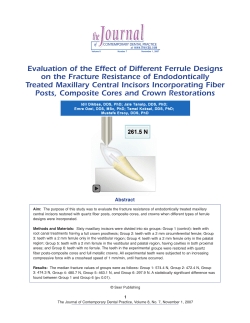Evaluation of the Effect of Different Ferrule